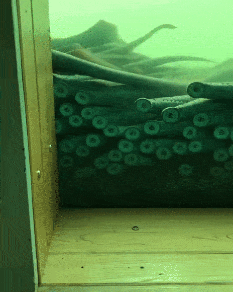 ezgif_com-optimize_10.gif