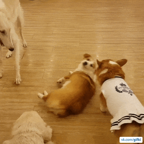 ezgif_com-optimize_16.gif
