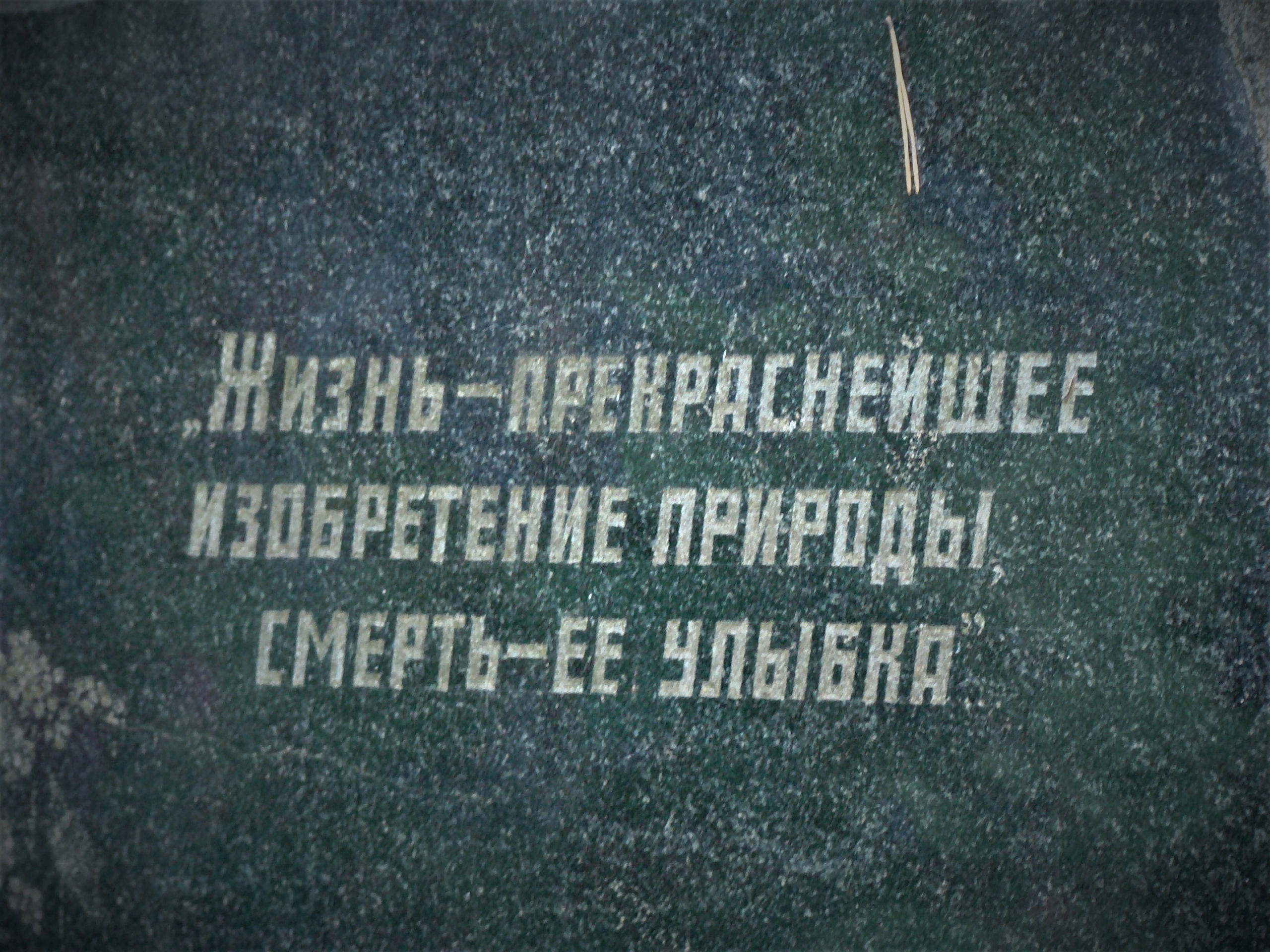 f8oO364VaSg.jpg