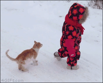 fcbf1d0e29b757f6bbf9fe39f44b88a7.gif