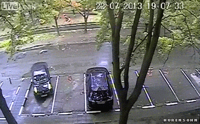 fe2f9f2da7a1.gif