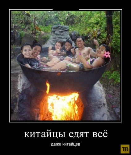 FgfwzW4DE8uwGNiLp1aI0buhqqTS_svbBRtgpRCaMXeetwPn4CxyYXuxOchI3phl6hhpWQ _500x500x100.jpg