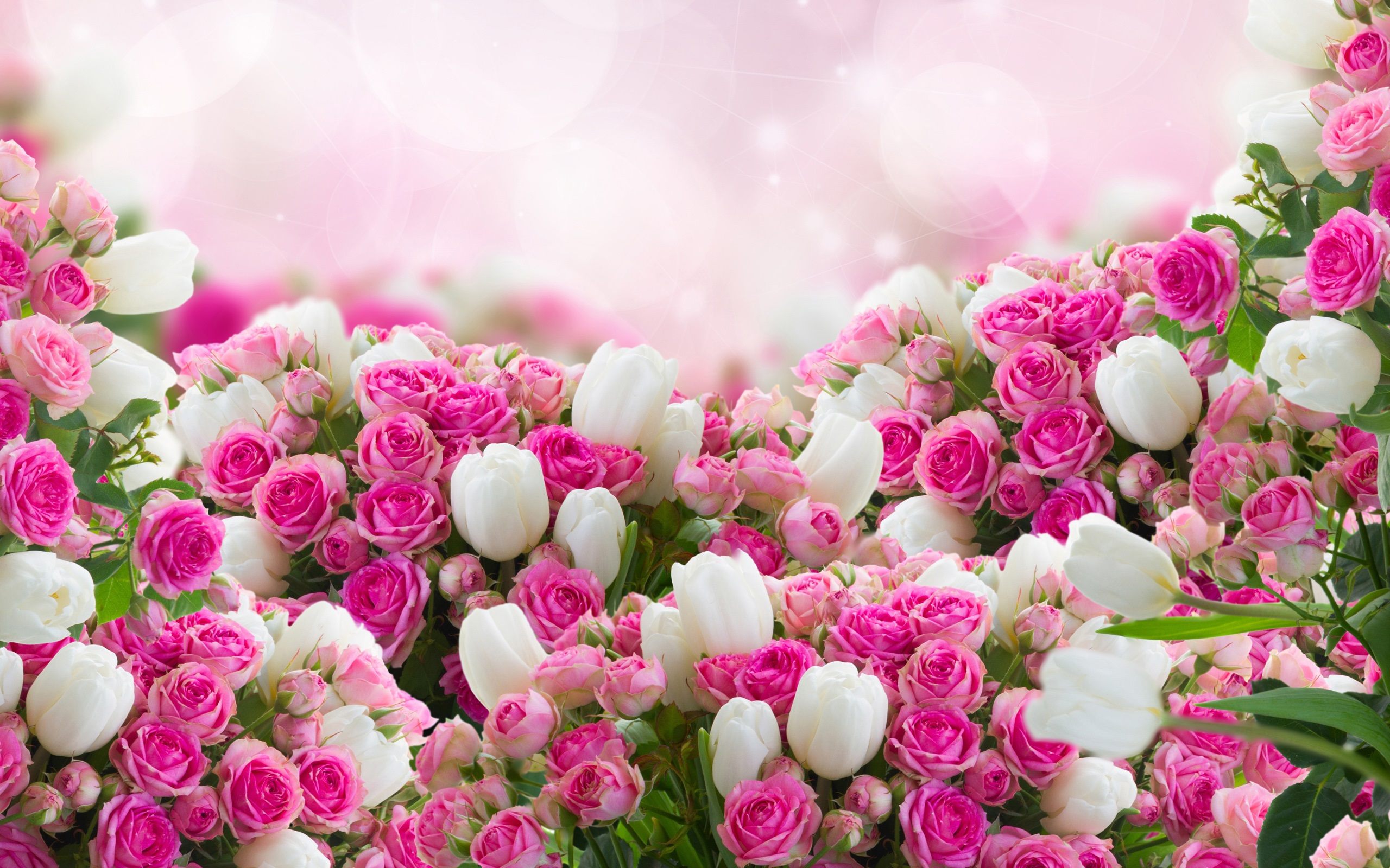 flower-wallpaper-22.jpg