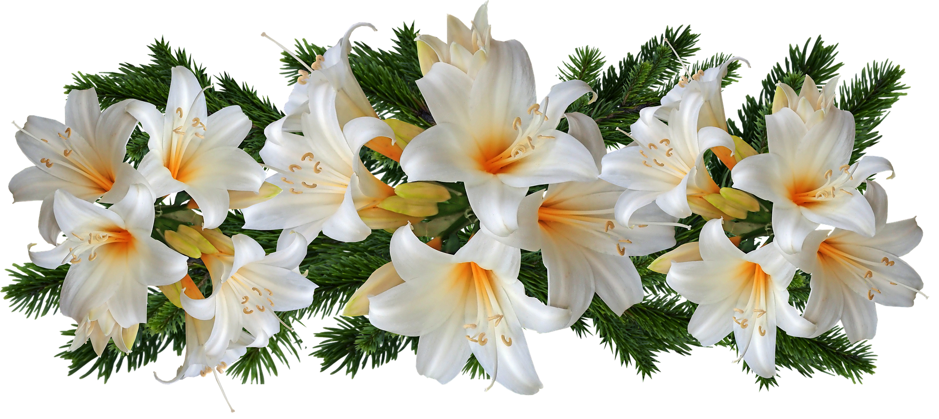 flower_098.png