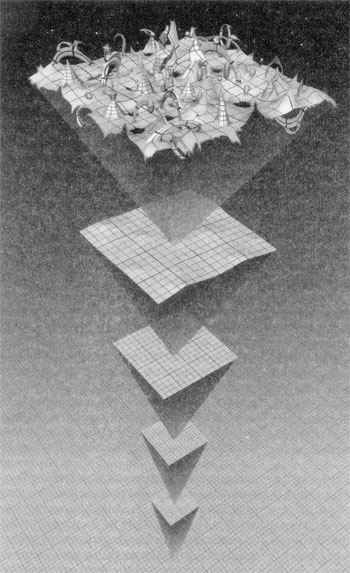 fluct.jpg