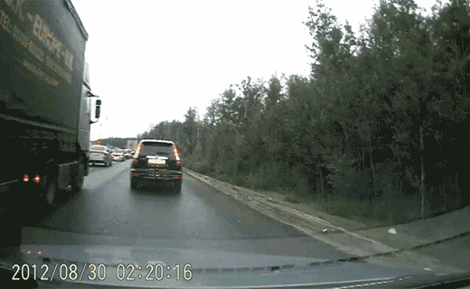 Fungif_08.gif