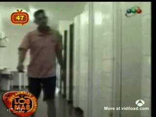 Fungif_12.gif