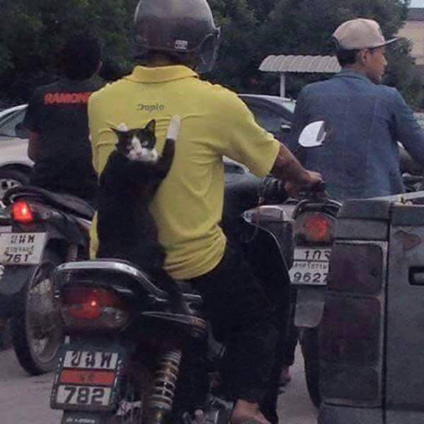 funny_picdump_1174_640_10.jpg