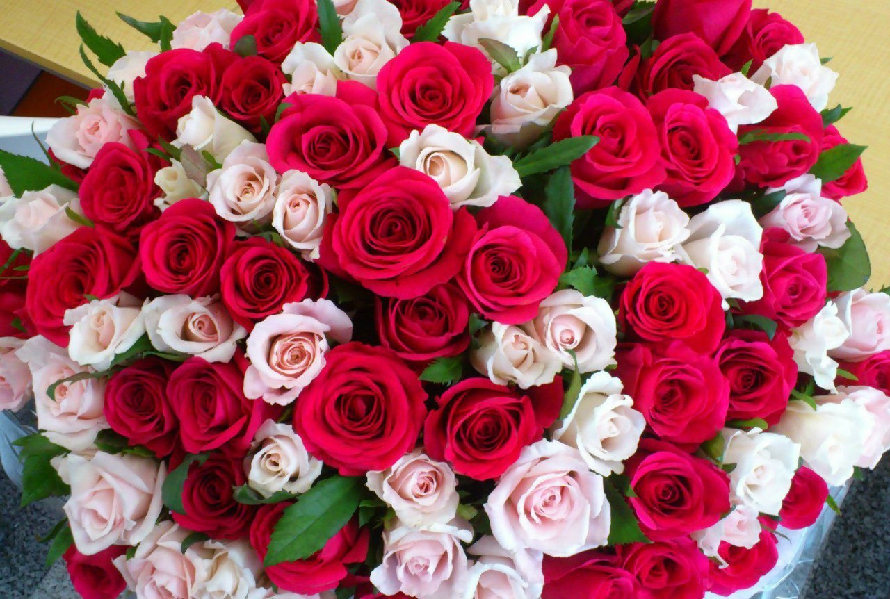 gallery_file_19510_o.jpg