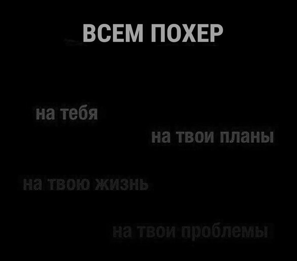 gCrCCcHqb8w.jpg
