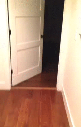 gif-01062015-016.gif