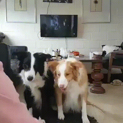 gif-01122017-011.gif