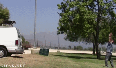 gif-03042013-006.gif