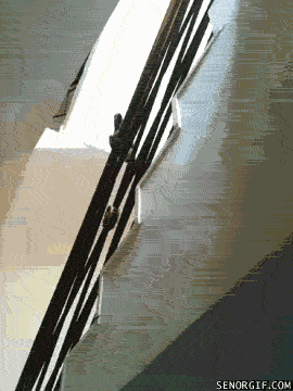 gif-03112017-002.gif