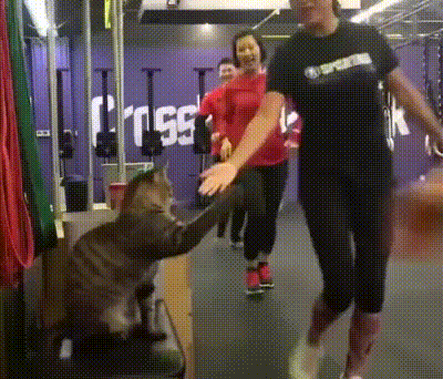 gif-07122018-009.gif