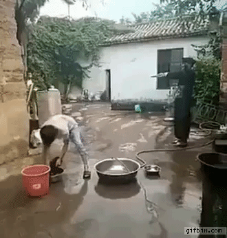 gif-11112016-002.gif