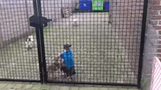 gif-19102018-010.gif