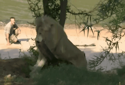 gif-21032014-008.gif
