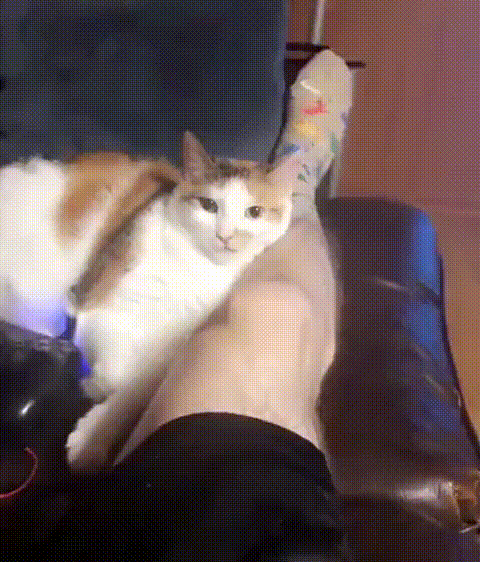 gif-23112018-004.gif
