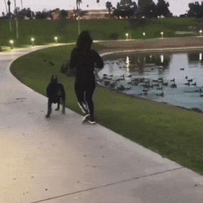 gif-26102018-008.gif