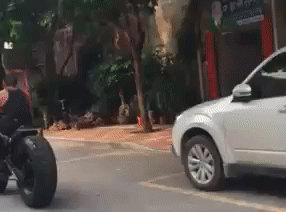 gif-26102018-011.gif