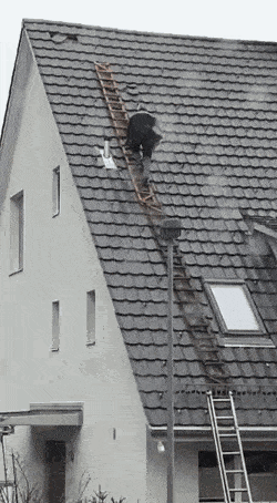 gif-26102018-012.gif