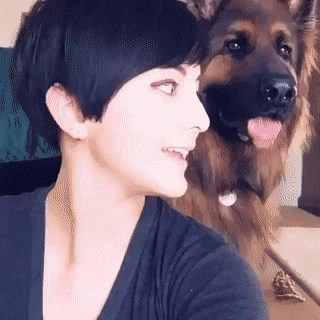 gif-28092018-006.gif