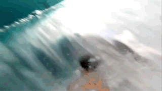 gif-711214-008.gif