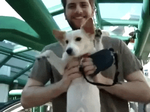 gif-prikoly-29.gif