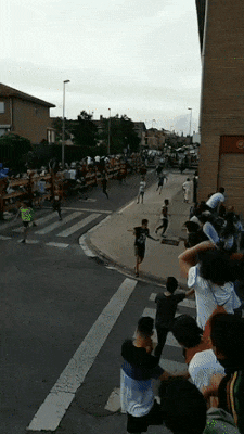 gif-prikoly-56.gif