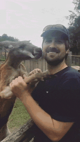 gif-prikoly-94.gif