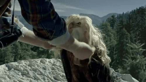 giff-039.gif
