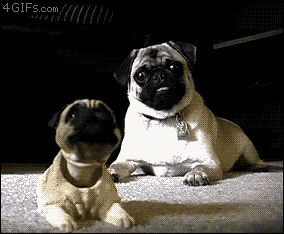 giff-055.gif