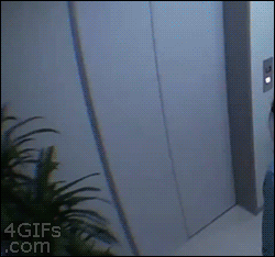 gifki_s_yaponcami_008.gif