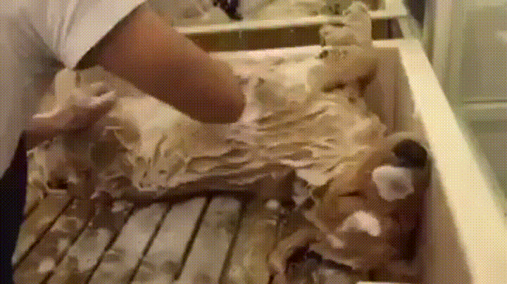giphyвыс.gif