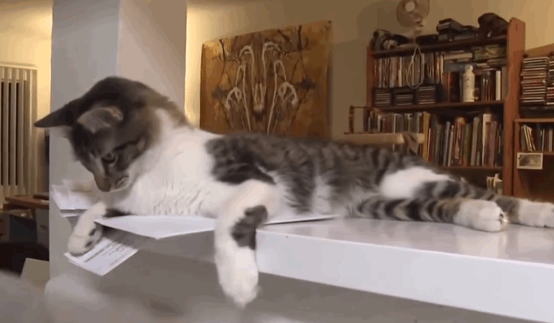 giphy-3.gif