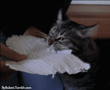 giphy dv.gif
