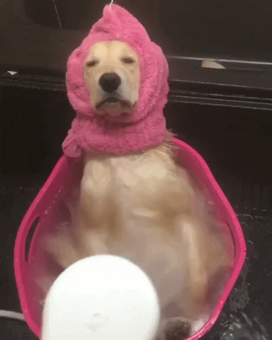 giphy6уг5.gif