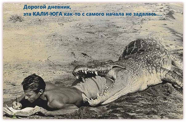 gJu3cQIGq-Mogrb1wtJMUS0QuByhdWqsIvCGowKY7YW0tWu1oLQua96ru5A4QxMUp56tW9DU.jpg