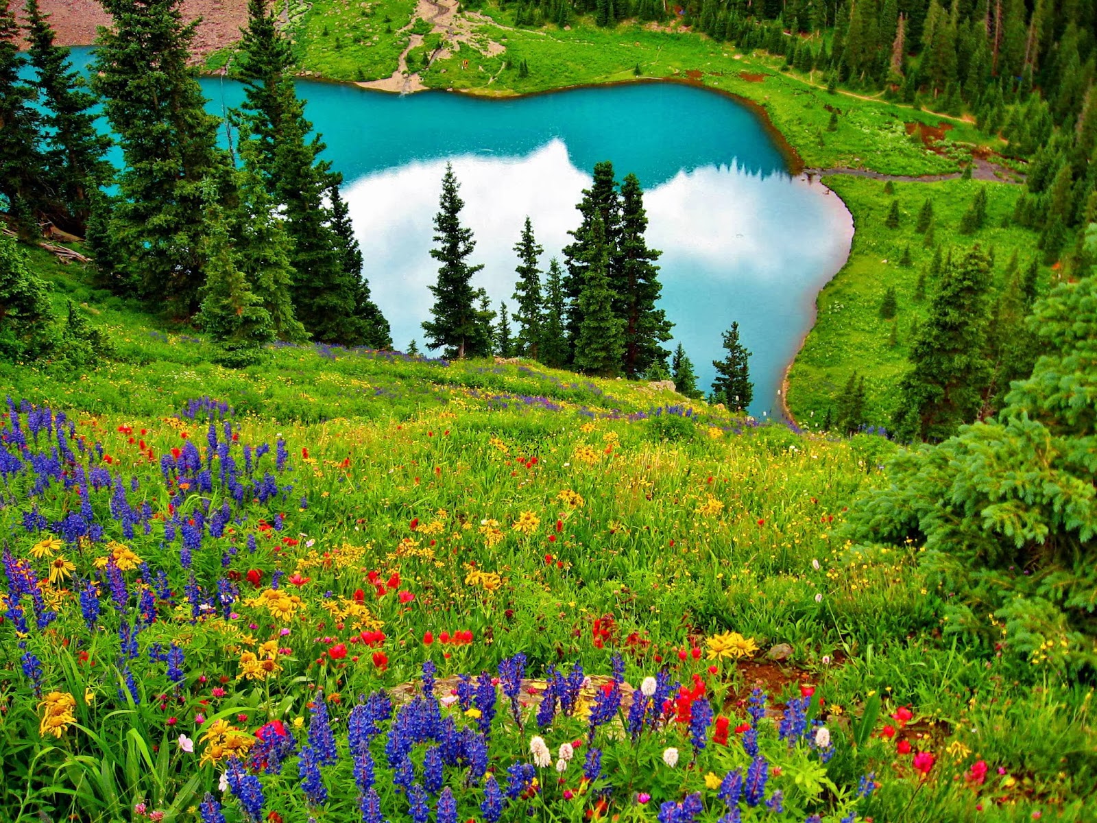 Green field 18.jpg