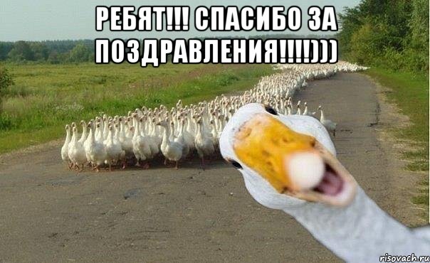 gusi_21612770_orig_.jpg