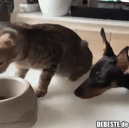 h9E9E046A.gif