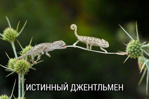 -hi2Q0fjrlM.jpg
