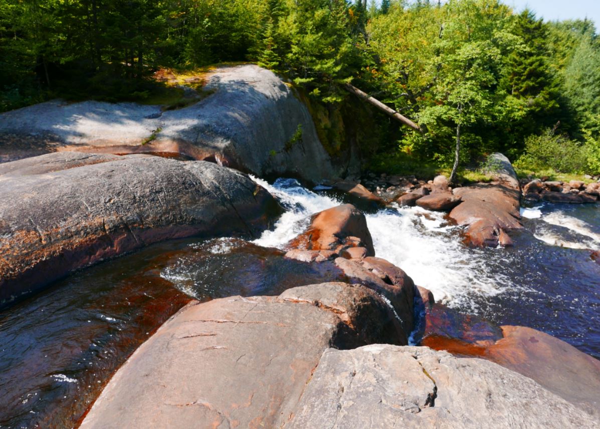 high_falls_loop_11.JPG