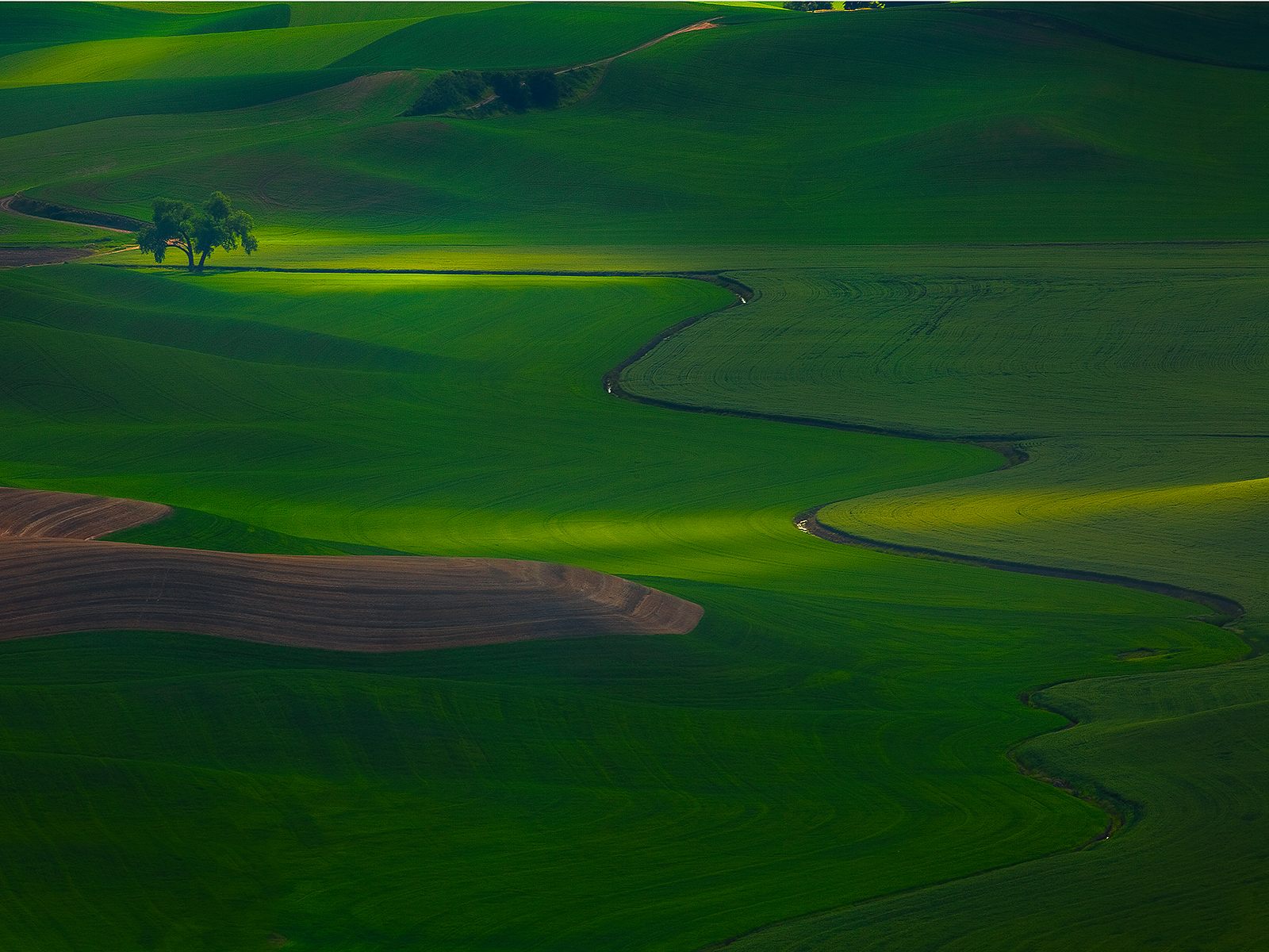 Hint-Of-Light-Palouse-Washington-1.jpg