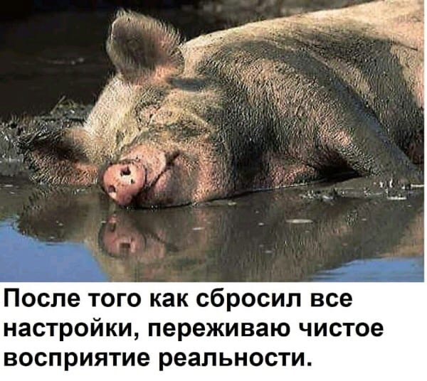 HjwhPqNVYgI.jpg