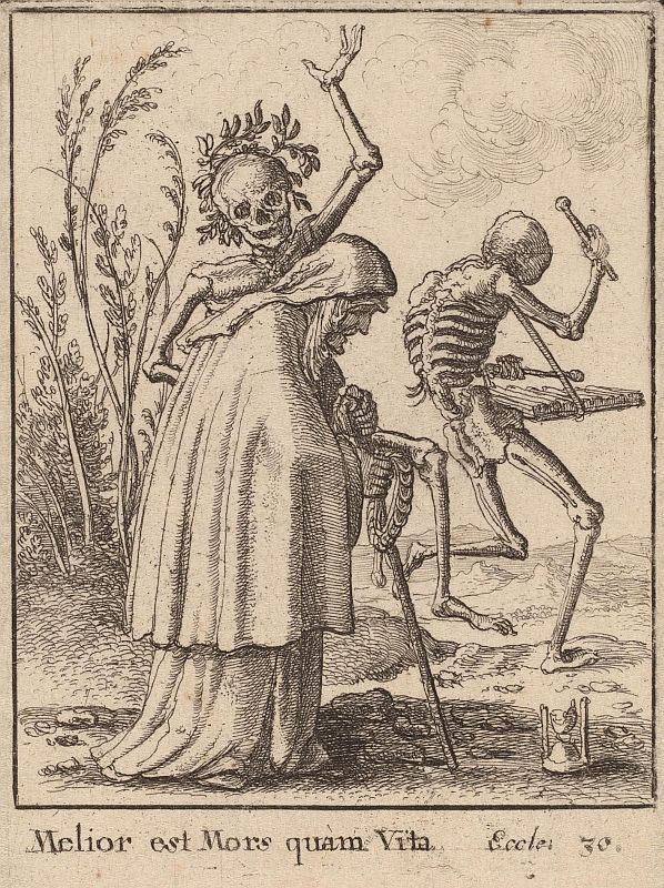 hollar-25.jpg