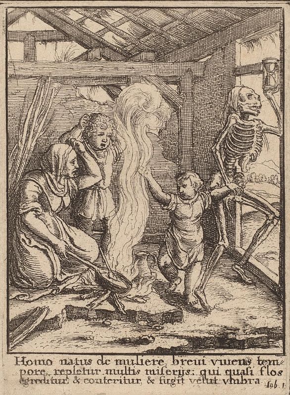 hollar-39.jpg