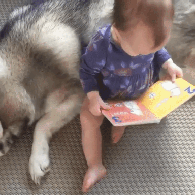 https:__vk.com_gif_fak-1.gif