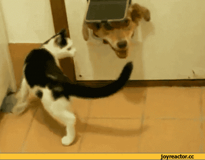 i-3455.gif